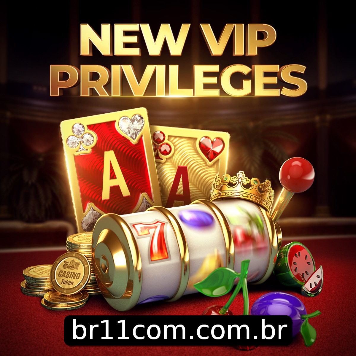 Programa VIP br11